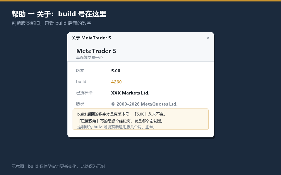 MT5版本号怎么看：帮助关于窗口里build号的位置示意